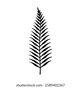 Elegant Fern Leaf Line Art