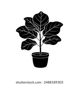 Elegant fiddle leaf fig vector illustration for printable graphics and design files.