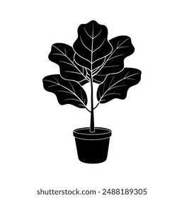 Elegant fiddle leaf fig vector illustration for printable graphics and design files.