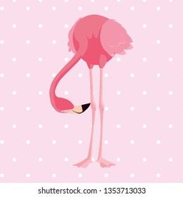 elegant flamingo bird dotted background