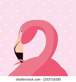 elegant flamingo bird dotted background