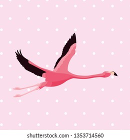 elegant flamingo bird flying dotted background