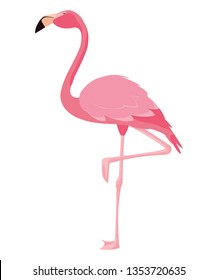 elegant flamingo bird icon