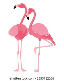elegant flamingo birds couple