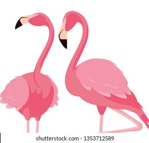 elegant flamingo birds couple
