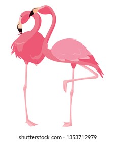 elegant flamingo birds couple