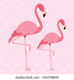 elegant flamingo birds couple dotted background