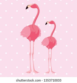 elegant flamingo birds couple dotted background