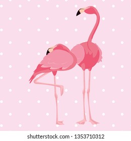 elegant flamingo birds couple dotted background