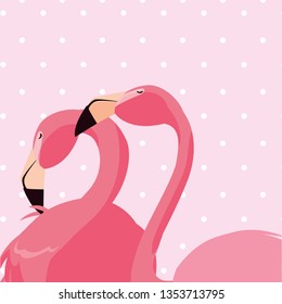 elegant flamingo birds couple dotted background