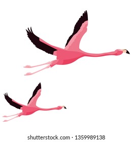 Elegant Flamingo Birds Couple Flying