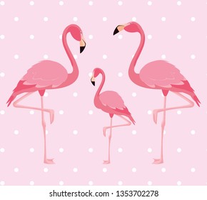 elegant flamingo birds family dotted background
