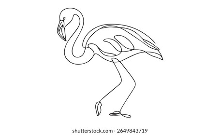 Ilustração da arte da linha do flamingo elegante