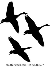 Elegant Flight Silhouettes of Geese Formation
