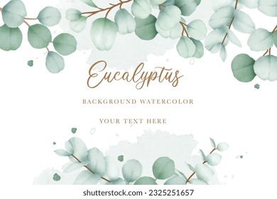 Elegant floral background with hand drawing eucalyptus watercolor  