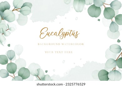 Elegant floral background with hand drawing eucalyptus watercolor  
