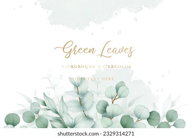 Elegant floral background with hand drawing eucalyptus watercolor  