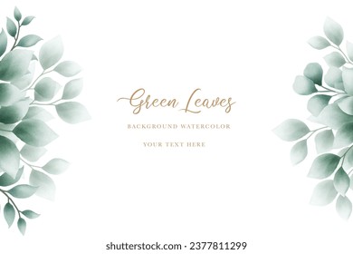  Elegant floral background with hand drawing eucalyptus watercolor
