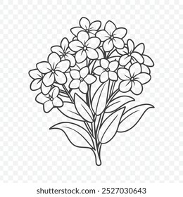 Eleganter Blumenstrauß mit schleichender Phlox Linie Art Vektor Design Illustration für botanische Projekte