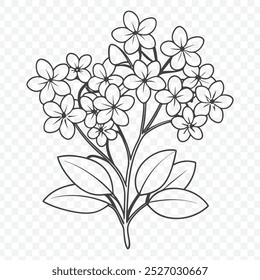 Eleganter Blumenstrauß mit schleichender Phlox Linie Art Vektor Design Illustration für botanische Projekte