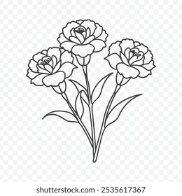 Bunch floral elegante com ilustração do vetor da arte da linha do cravo em estilo botânico detalhado