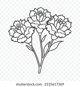 Bunch floral elegante com ilustração do vetor da arte da linha do cravo em estilo botânico detalhado