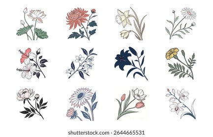 Elegante coleção floral com doze ilustrações botânicas diversas sobre um fundo branco