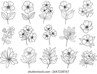 Coleção Floral Elegante Desenhado à Mão Delicado Ilustrações Botânicas de Várias Flores Florescentes e Ramos Folhosos Ideal para Projetos Decorativos e Artísticos