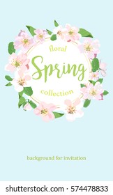 Elegant floral collection with isolated spring flowers, hand drawn with frame for text. Design for invitation, wedding or greeting cards. Vector illustration