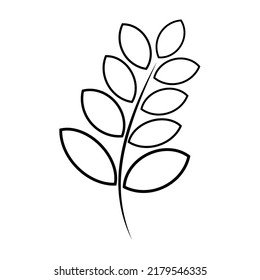 Elegante florale Dekorationselemente, Ast und Blätter einzeln auf weißem Hintergrund