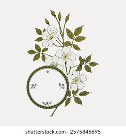 Elegant floral design with white flowers and green leaves. Delicate flowers and intricate leaves surround a circular frame. Beautiful floral and leaf pattern. Vintage style art, isolated vector.