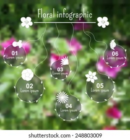 Elegant floral diagram elements with 6 flowers with place for information, on blurred blooming wild roses background. Vector design for infographic or other.