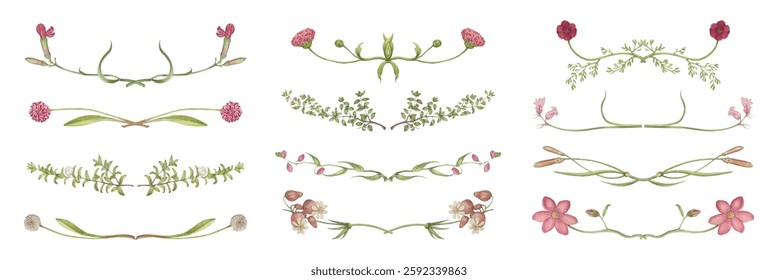Elegant floral dividers with pink flowers and green leaves. Botanicals create delicate floral dividers. Perfect for floral-themed designs. Spring flower illustrations, isolated vector set.