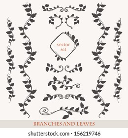 Elegant floral elements with branches and leaves.
