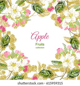 Elegant floral frame in vintage style with blooming branch of apple tree. Golden background for eco fruit, cosmetics, perfume, tea, aromatherapy products and much more. Vector illustration.