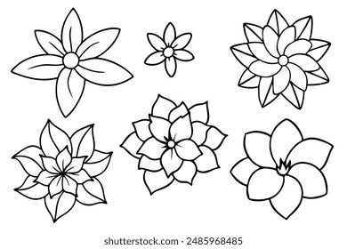 Elegant Floral line art enhance your interior style