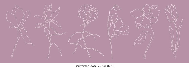 Elegant floral line art on a mauve background. Delicate line art flowers showcase graceful floral designs. Minimalist floral art in white lines. Spring illustrations, vector set.