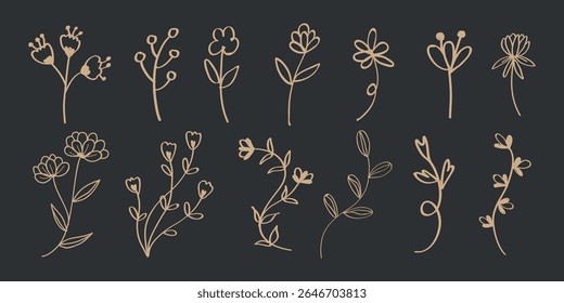 Elegant floral line art on a dark background. Simple floral designs, sketches, and floral outlines create a minimalist floral aesthetic. Spring flower illustrations, isolated vector set.