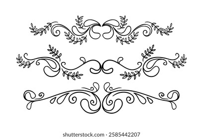 Elegant floral ornaments art on black colour