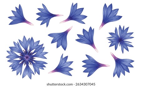 Elegant floral petals in shades of blue and violet gracefully scattered on white background. Perfect for wedding designs, spring themes, invitations, packaging, and textile patterns.