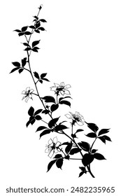 Elegant Floral Plant Silhouette: A Simple Stem with Leaves and Full Bloom Flowers, Perfect for Print Designs