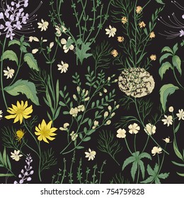 Elegant floral seamless pattern with gorgeous hand drawn wild flowers, tender flowering herbs and herbaceous plants on black background. Botanical vector illustration in beautiful antique style.