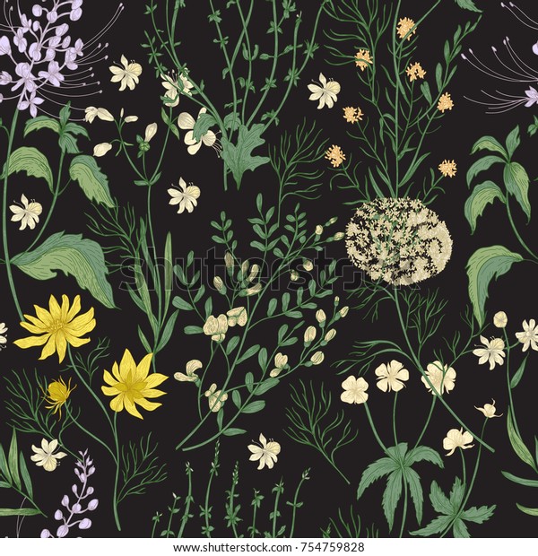 黒い背景に華やかな手描きの野生の花と優美な花のシームレスな柄 優しい花のハーブと草本 美しいアンティークスタイルの植物ベクターイラスト のベクター画像素材 ロイヤリティフリー 754759828