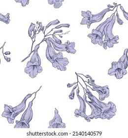 Elegant floral vector seamless pattern for design packaging textile wallpaper fabric. Purple flowers of Jacaranda on white background. Hand drawn elements. 
