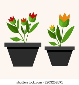 Elegant Flower blooms in a pot background vector