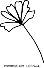 Elegante elemento floral de mano dibujado en vector. Ilustración simple de doodle para impresión, tarjeta de saludo, pegatinas, diseño de boda, embalaje, línea cosmética natural o afiche. Icono natural aislado en blanco