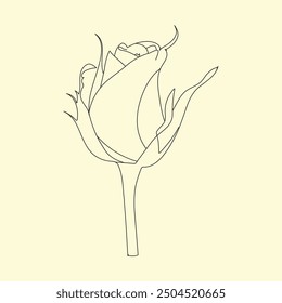 Elegant Flower Line Art Designs