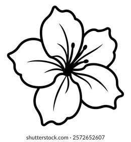 Elegant Flower Line Art with Five Petals