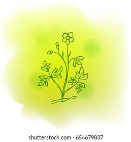 Elegant flower. Sketch. Calligraphy. Vector.