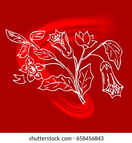 Elegant flower. Sketch. Calligraphy. Vector.
